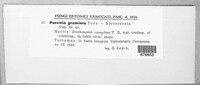 Image Associated With the Occurrence